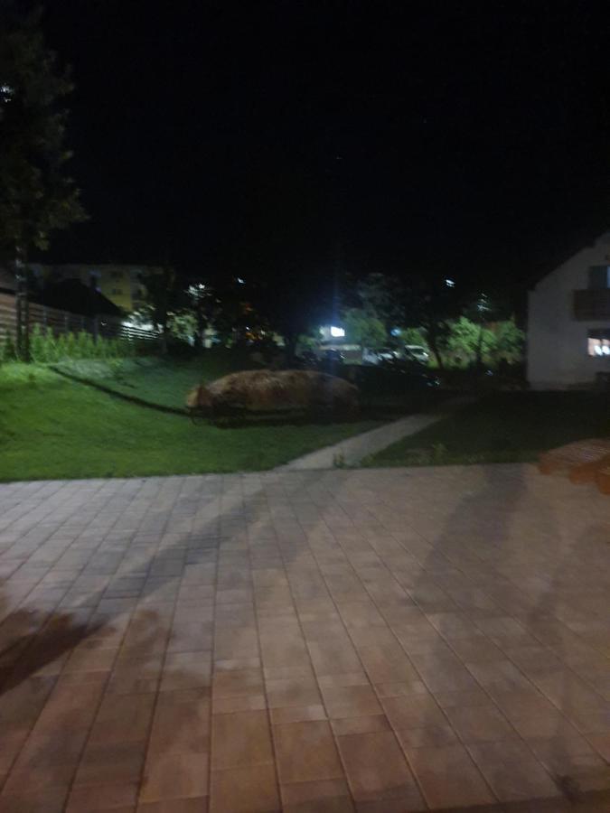 Pensiunea Transilvania Ковасна Экстерьер фото