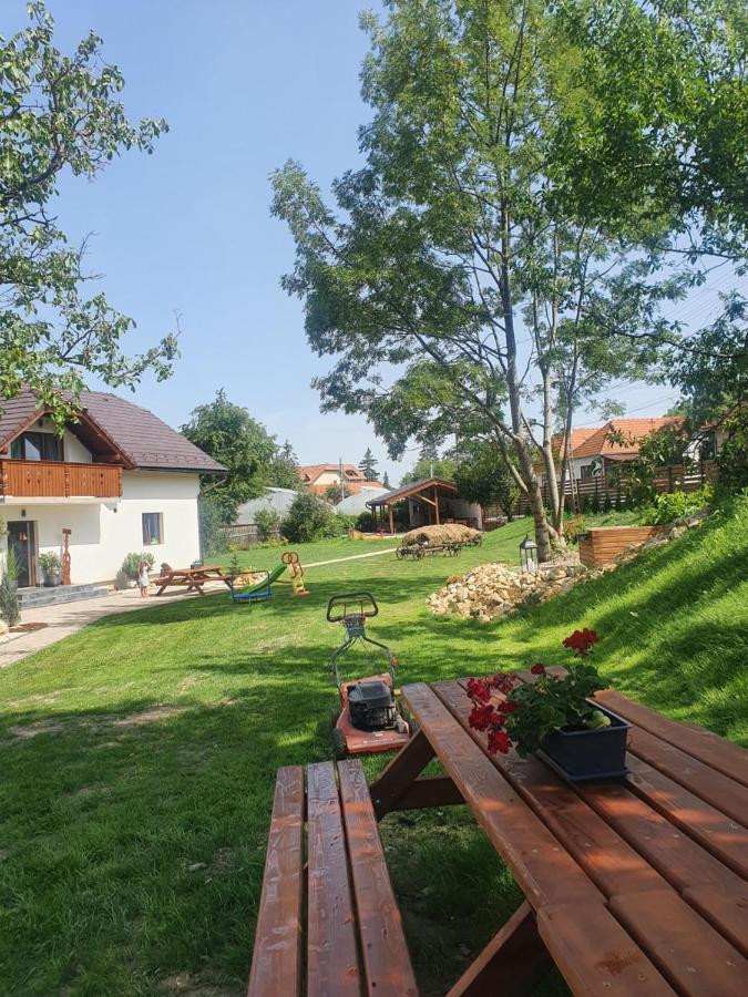 Pensiunea Transilvania Ковасна Экстерьер фото